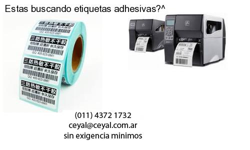 etiquetas ropa 35 x 100
